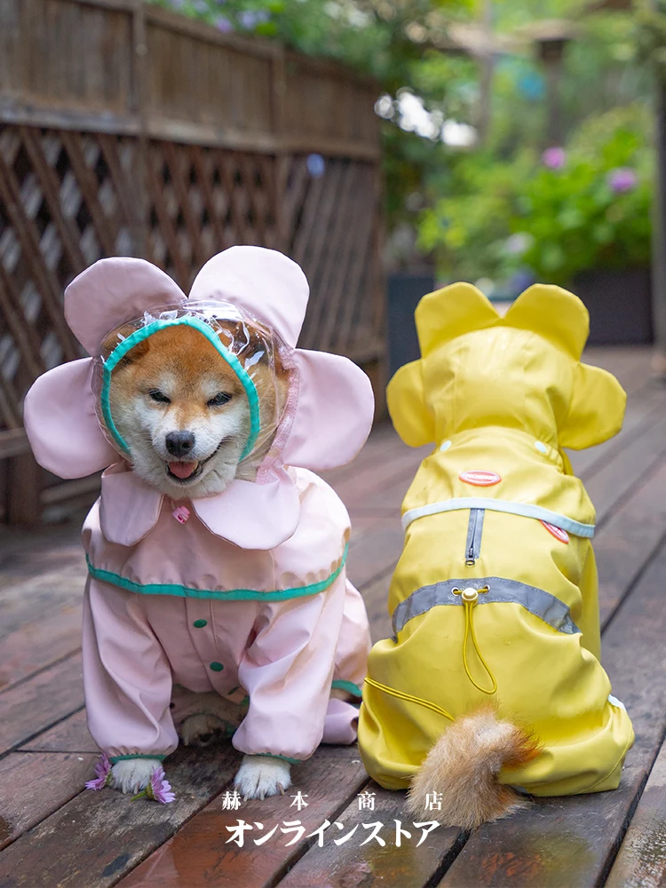 犬のお散歩グッズをコスパ良く揃える方法｜実測でわかるフィット性とデザインのバランス