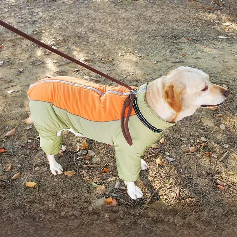 犬のお散歩グッズをコスパ良く揃える方  法　徹底解説・選び方のポイント