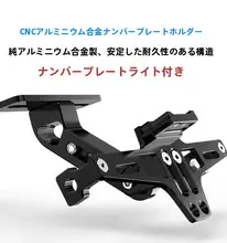 電動バイク用バイクキャリア【魚骨フレーム・ナンバープレートホルダー付き】