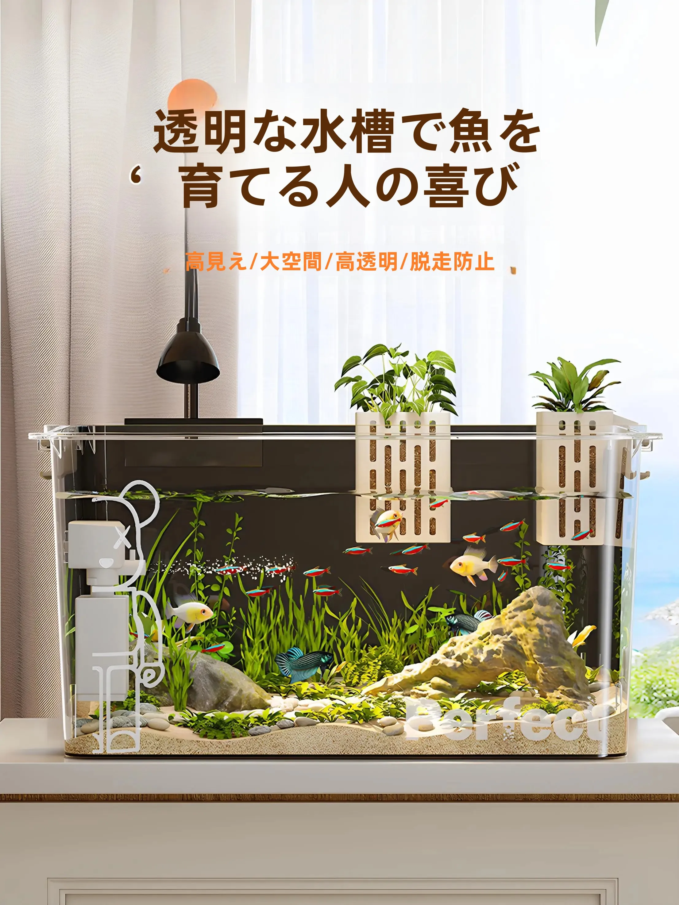 金魚水草セット：星優小型エコ水槽の機能と実用性を徹底解説