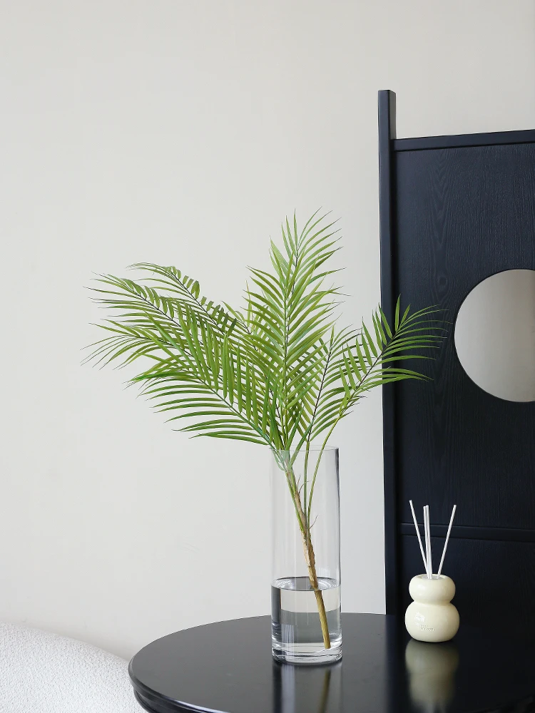 韓国インテリアを再現｜カフェ風部屋の作り方　自然な植物選びの完全ガイド