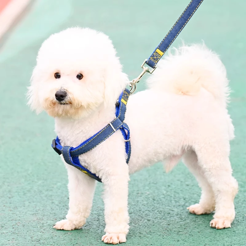 犬用リード【大型・中型・小型犬対応】の選び方と実用性を徹底解説