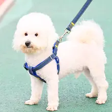 犬用リード【大型・中型・小型犬対応・ペット用品】