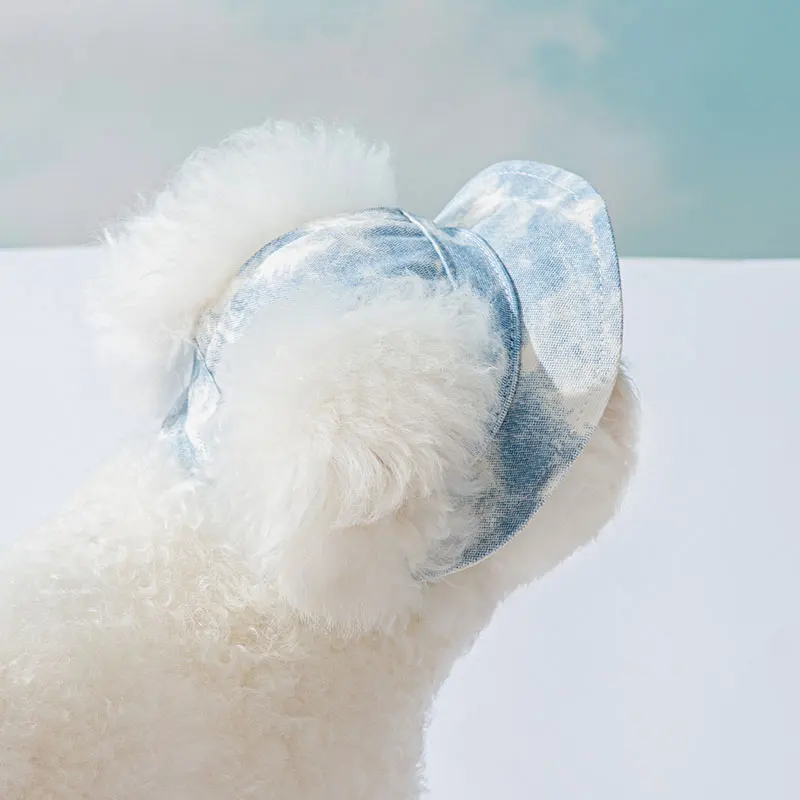 犬のお散歩グッズをコスパ良く揃える方法 - 日除け漁師帽のサイズ・効果・コストパフォーマンス