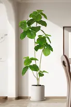 リアルな植物 大型鉢植え室内 リビング 装飾 高品質