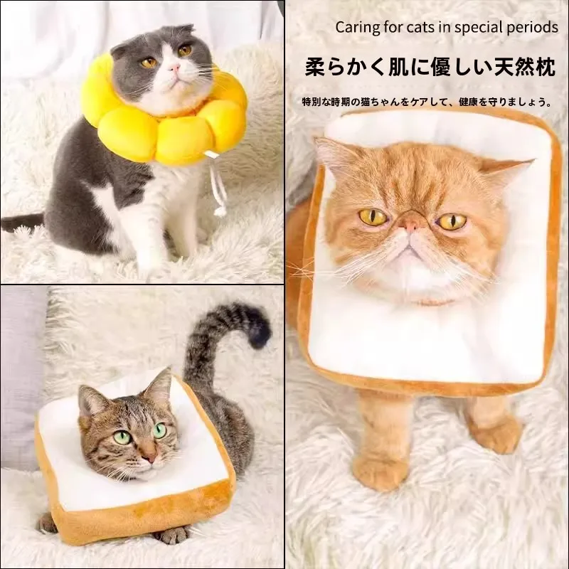 ペット用エリザベスカラー：マンションにペットを飼うための安全な保護具