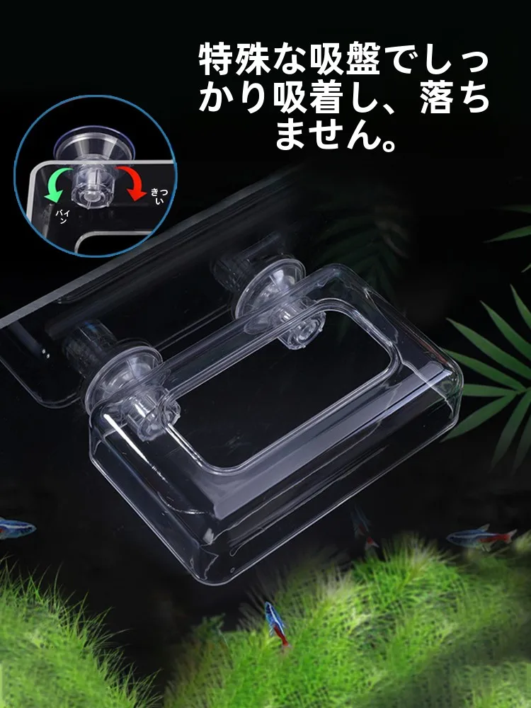メダカ稚魚飼育用給餌ボックスの選び方：浮き防止設計が水質維持に貢献