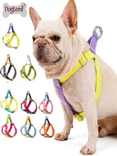犬用ハーネスリード【散歩用・胸部サポート・テディ・フレンチブルドッグ・ゴールデンレトリーバー対応】