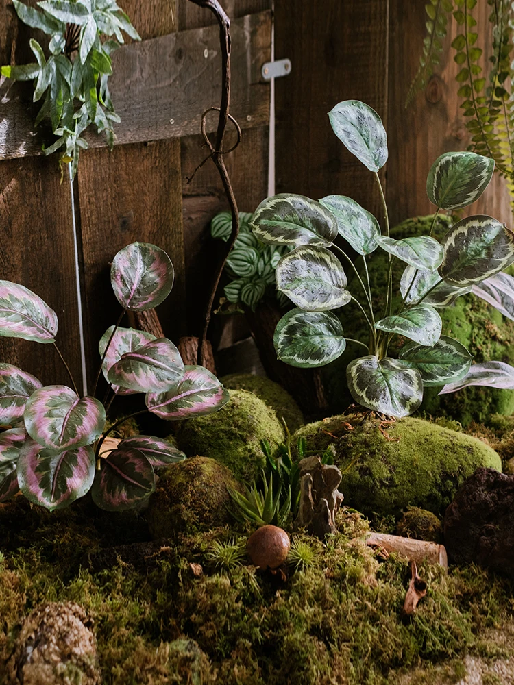「森系」のインテリアに合う、リアルな観葉植物はどれがおすすめ？
