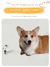 防水ペットマット【PVC製・抗尿・お手入れ簡単・犬猫用】