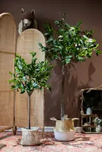 フェイクローズマリー 大型観賞植物 緑の植物 装飾品