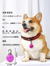 夜間用犬用発光ペンダント【小型犬用・迷子防止・LEDライト付き】