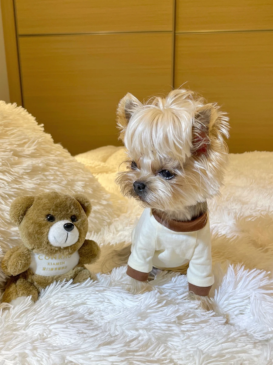 犬猫用Tシャツ：純綿ロゴプリントで夏の快適さを実現