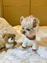 犬猫用Tシャツ【純綿・ロゴプリント・マルチーズ・ヨークシャーテリア向け】