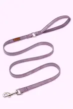 小型犬用リード【テディ・コーギー・ポメラニアン適用・ペット用品】