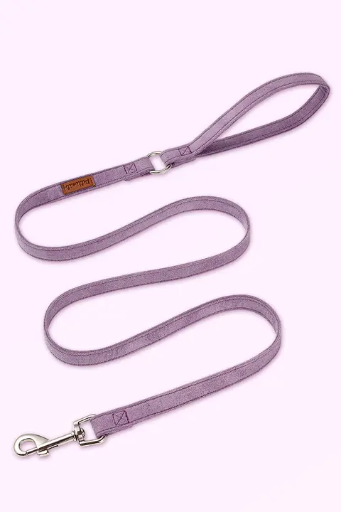 小型犬用リード【テディ・コーギー・ポメラニアン適用・ペット用品】