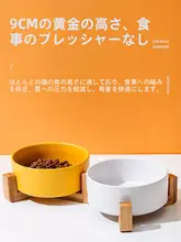 猫用 黒色陶器ダブルボウル【深型・洗いやすい・水と食事用】