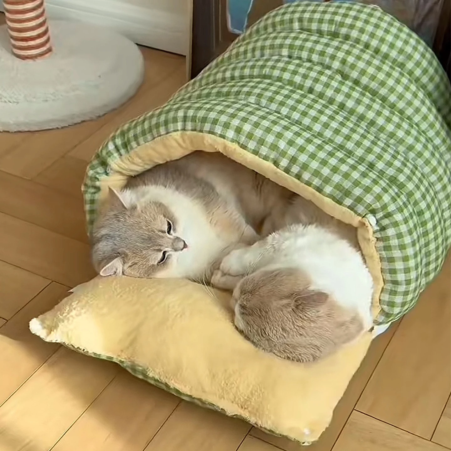 一人暮らしの冬にぴったりなキャットベッドは、どう選ぶ？