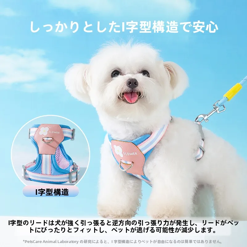小型犬用ハーネス付きリード：胸部サポートと防咬機能を備えた実用性の検証