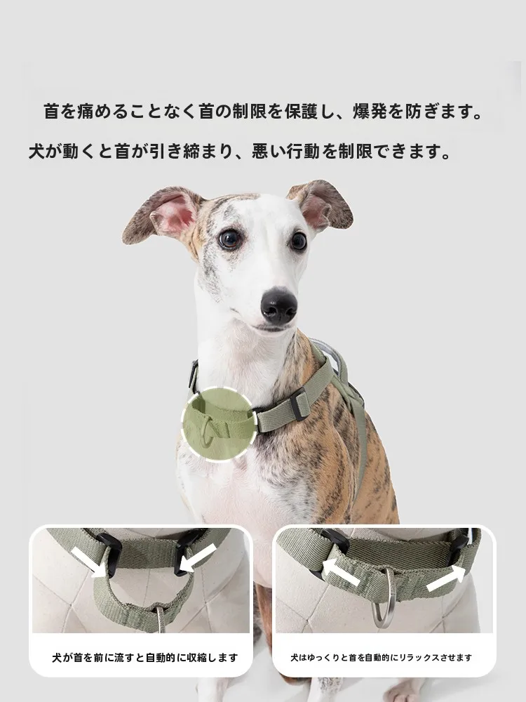 犬のお散歩グッズをコスパ良く揃える方法　ベスト式ハーネスの実測ガイド