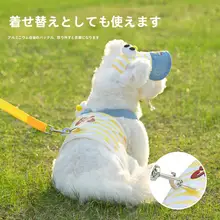 小型犬用Y型ハーネスとリードセット【春秋用・通気性素材】