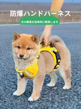 小型犬用 ペットリード&ハーネスセット【防脱出・柴犬・テディベア用】