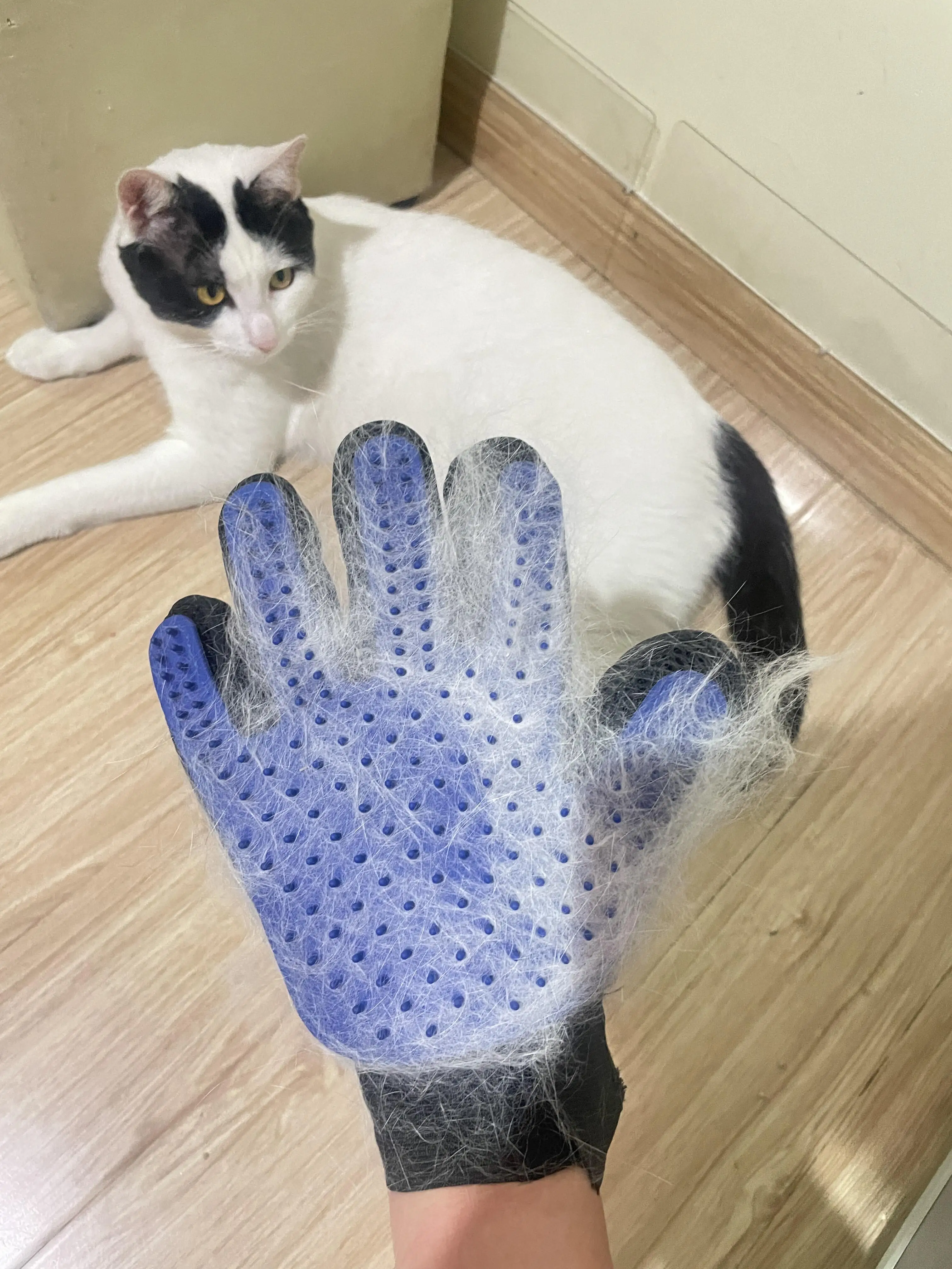 猫と犬用ブラッシング手袋：浮毛除去・除毛クリームチクチク対策に最適な実用性を検証