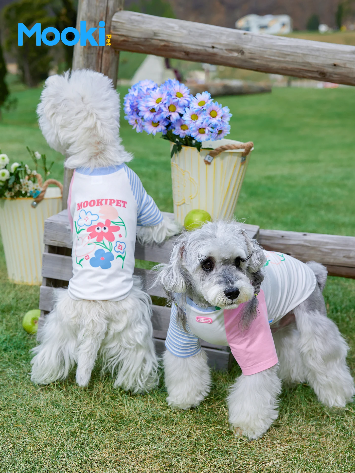春用犬用Tシャツ：mooki petの涼感デザインが夏のペットライフをサポート