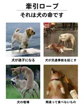 犬用ハーネスリード【中小型犬用・テディ・コーギー・ポメラニアン・フレンチブルドッグ対応】