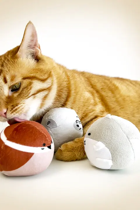 猫と犬用ボールおもちゃ【ミント香・ネコじゃらし・クッション型・歯磨き用】