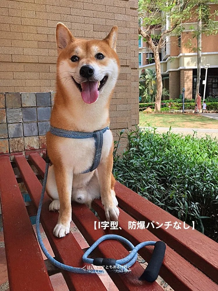 小型犬用工字型ハーネス：防爆・引き抜き防止設計で柴犬・シュナウザーにも対応