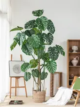 バイオニックグリーン 巨大 シダ 植物 インテリア リビング 装飾 景観