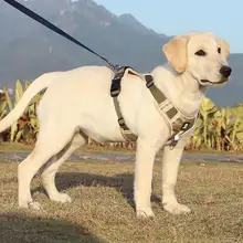 大型犬用ベスト型ハーネス【防爆・犬用リード付き】