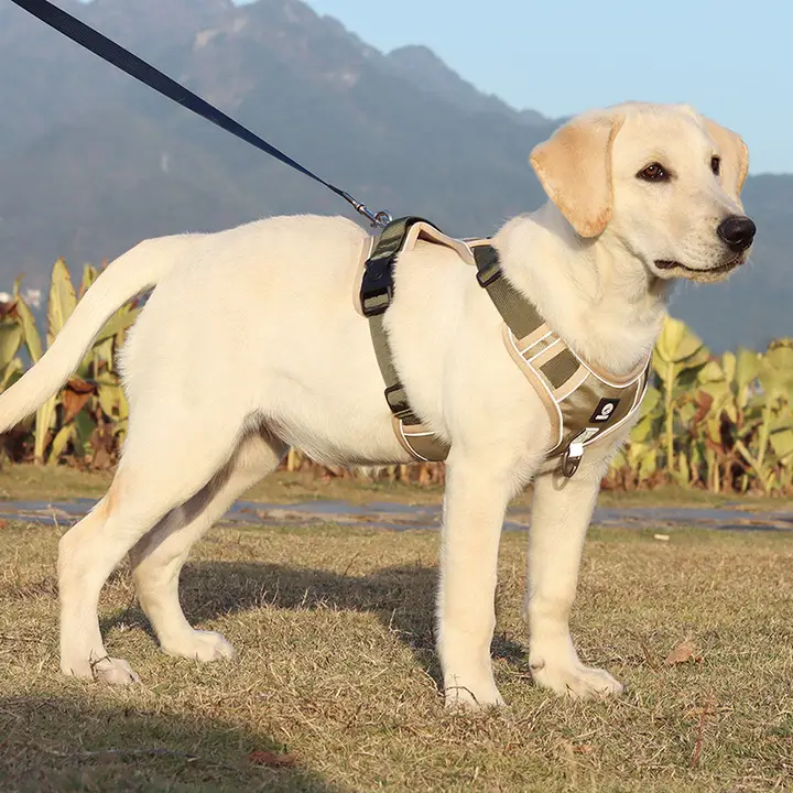 大型犬用ベスト型ハーネス【防爆・犬用リード付き】