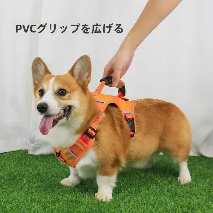 小型犬用ハーネスリード【コーギー・テディベア・幼犬対応・防爆設計】