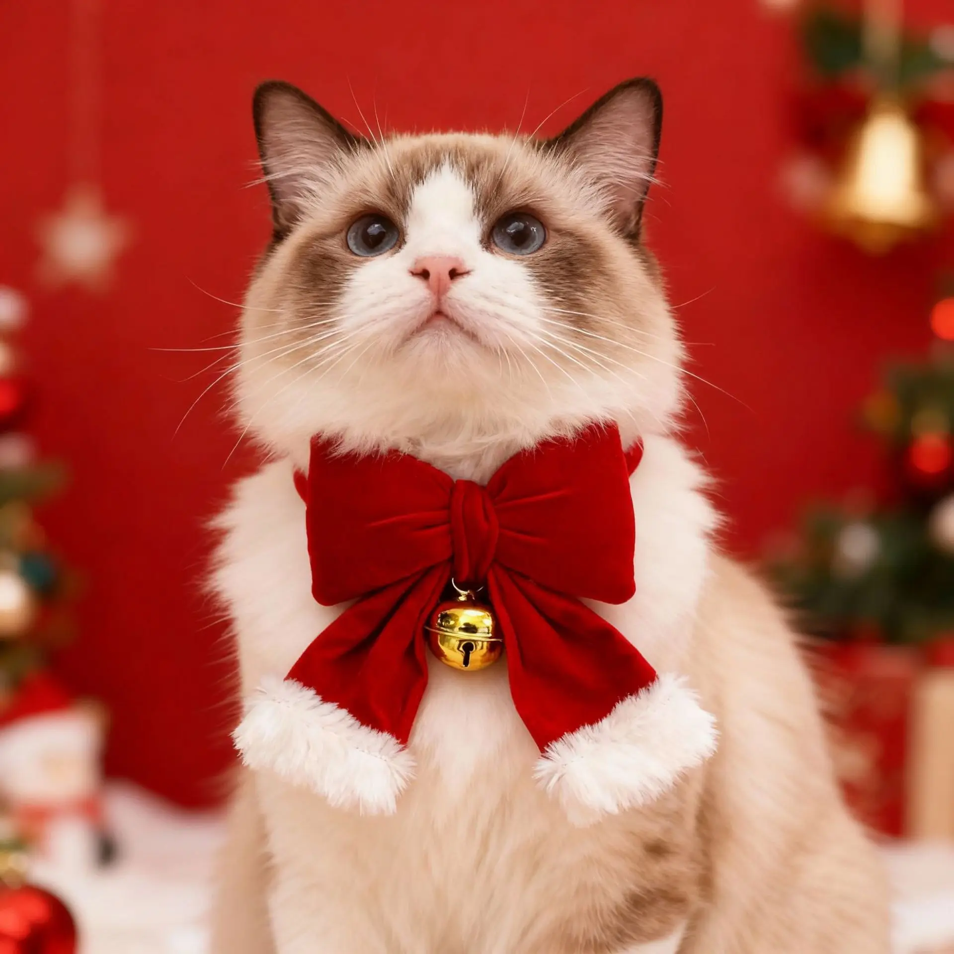 クリスマスプレゼントにぴったりなペット用カラフル首輪：酒紅色の立体リボンと鈴  付きデザイン