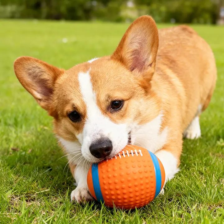 hipidog 犬用おもちゃボール【耐噛性・発声機能付き・体力消耗用・トレーニングボール】