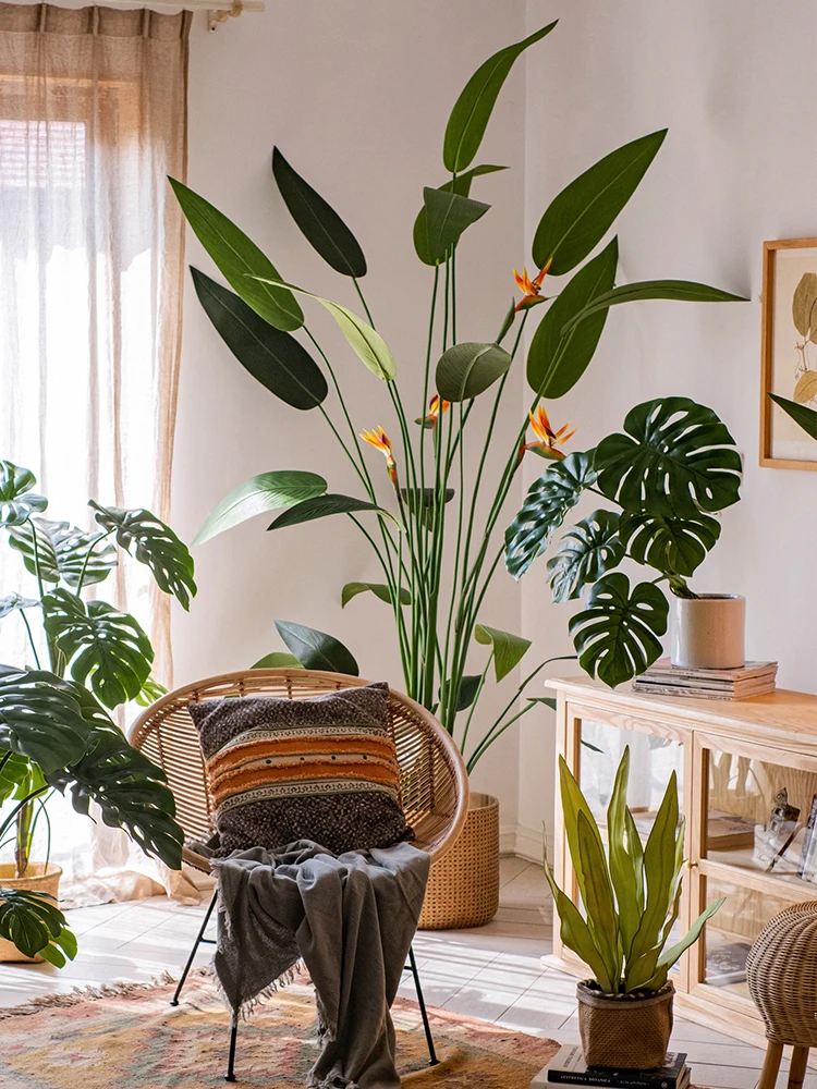 大型パラダイスバード グリーン植物 ポット ワンルーム向けインテリア