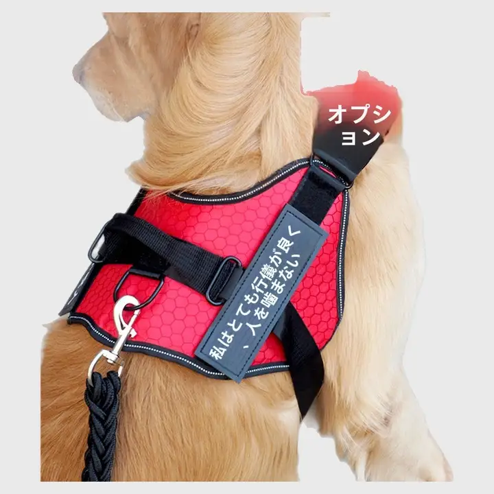 中型犬用ハーネスリード【胸部サポート・散歩用】