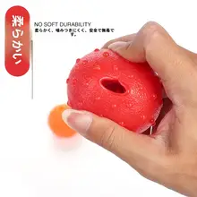 耐噛性 フロートする音の出る犬用ボール【テディ・ラブラドール・ゴールデン・ハスキー向け】