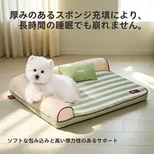 夏にぴったりの洗えるペットベッド【快適デザイン・通年使用可能】