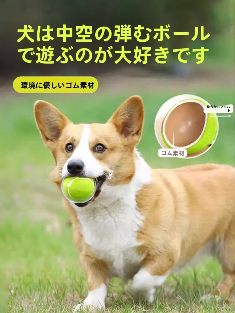 犬のお散歩グッズをコスパ良く揃える方法｜耐噛みゴムボールで行動管理を徹底解説