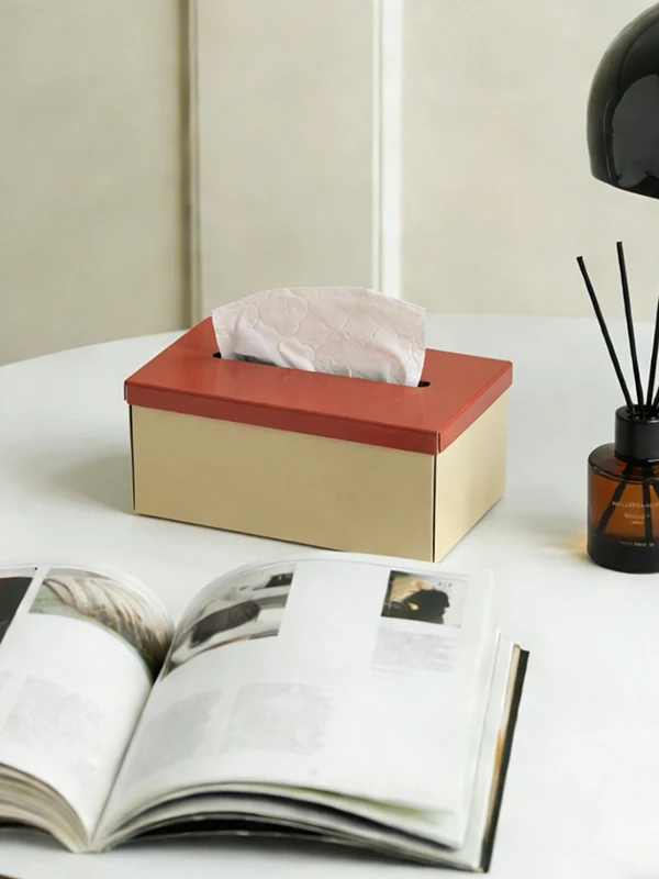 おしゃれな二色使いのティッシュボックス：一人暮らし用デザイン収納の実用性と空間節約効果