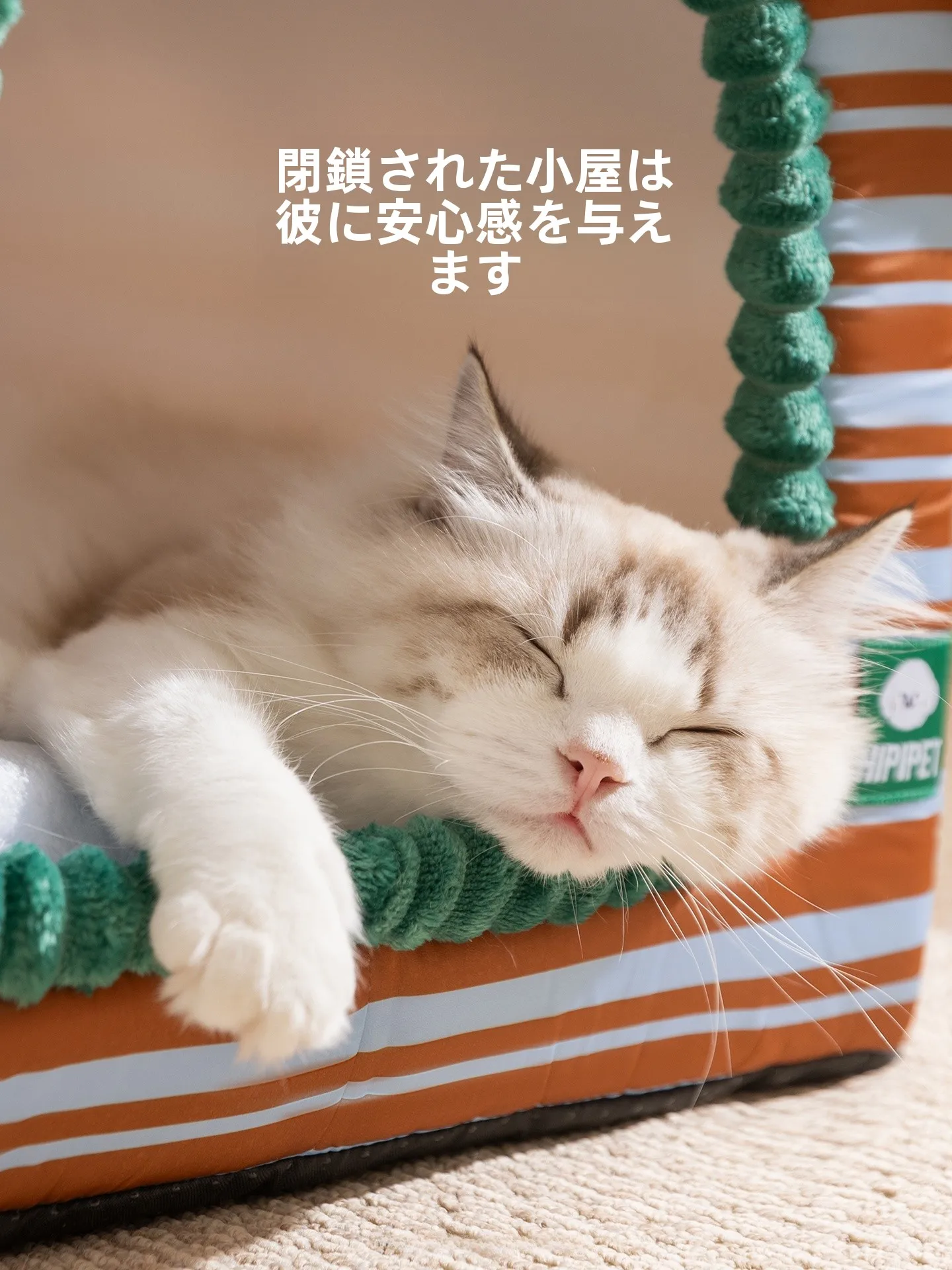 hipidog 冬用保温半封閉型猫ハウス：一人暮らし向けの季節対応環境設計