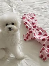 ペット用レインコート【韓国製・防水・ハート型雲柄・可愛いフード付き】