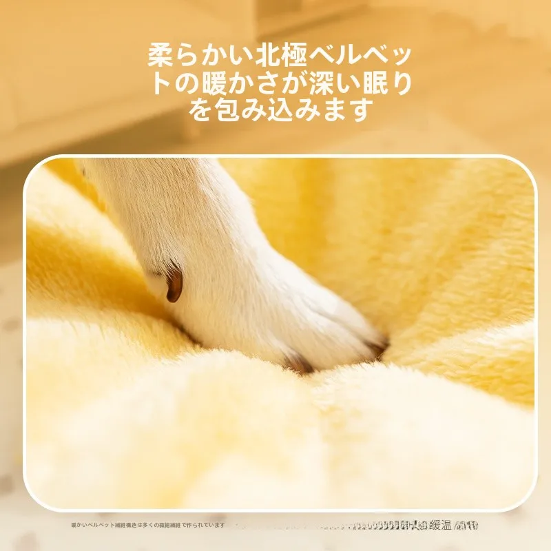 犬用ベッド【四季対応・小型犬用・夏用・テディベア・ビションフリーゼ対応】の選び方と実際の使い方