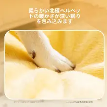 犬用ベッド【四季対応・小型犬用・夏用・テディベア・ビションフリーゼ対応】