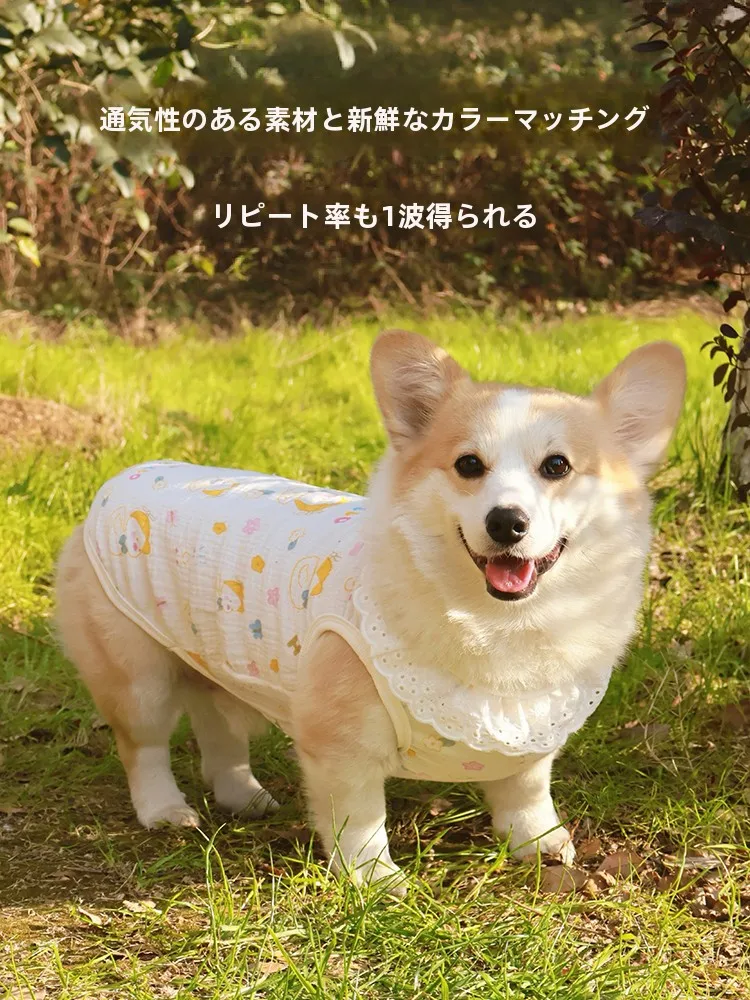 夏の犬服で悩むなら、このプリンセスドレスが救う理由は？