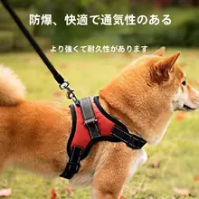 大型犬用 ハーネスリード【ラブラドール・中型犬対応・胸部サポート】