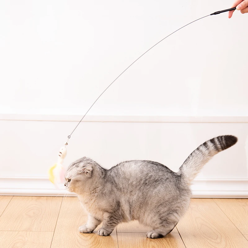 猫用おもちゃ 吸盤付きロングキャットボール：子猫向け運動不足解消に最適な遊び道具